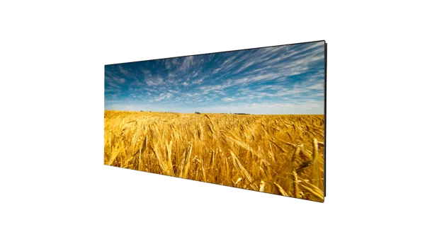 MW7725-MO-H1B — Tashqi LED modul P2.5